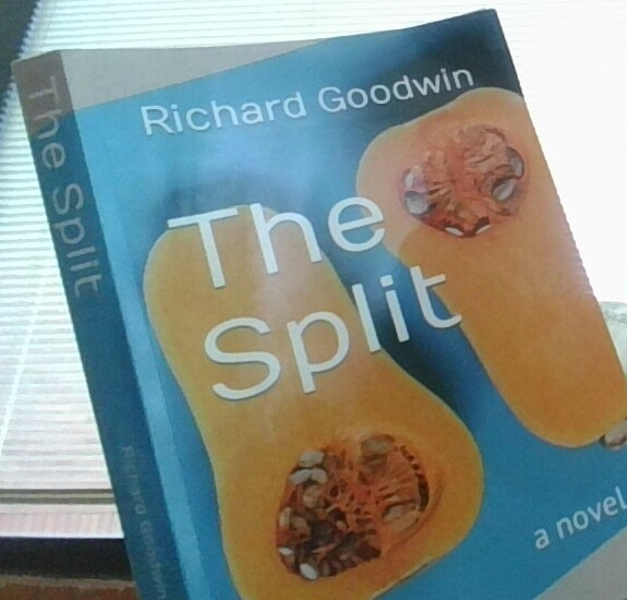 Photograph of The Split by Richard Goodwin